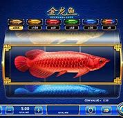 Slot Ikan Arwana